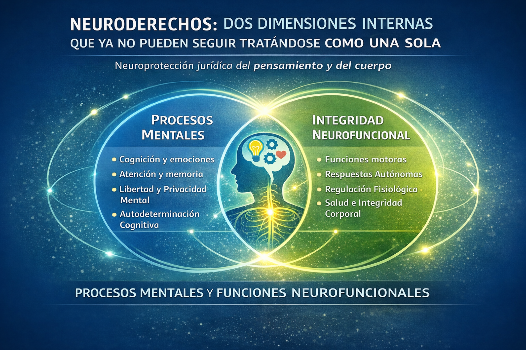 Neuroderechos: dos dimensiones internas (procesos mentales e integridad neurofuncional)